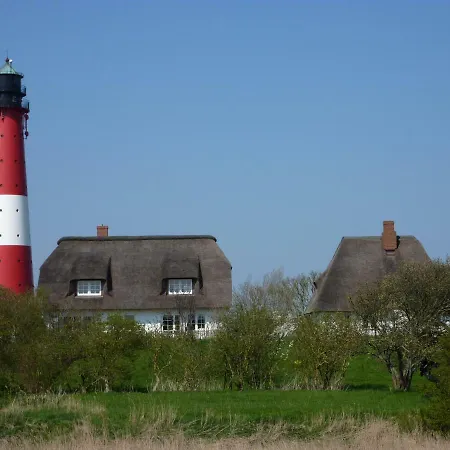 Atlanta Pur * Pellworm