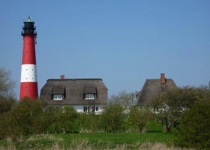 Atlanta Pur * Pellworm